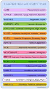 1782071 727208280723071 2356904142992540636 n Herbal medicine,natural remedies for menopause,acne solutions natural,Australia