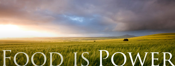food is power Herbal medicine,natural remedies for menopause,acne solutions natural,Australia