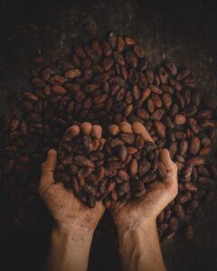 pablo merchan montes 251879 unsplash Herbal medicine,natural remedies for menopause,acne solutions natural,Australia