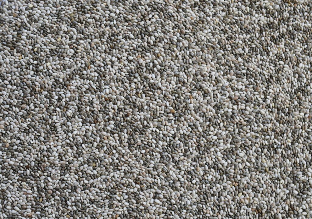 Fun Stuff You Can Add- CHIA 13 chia recipe ideas