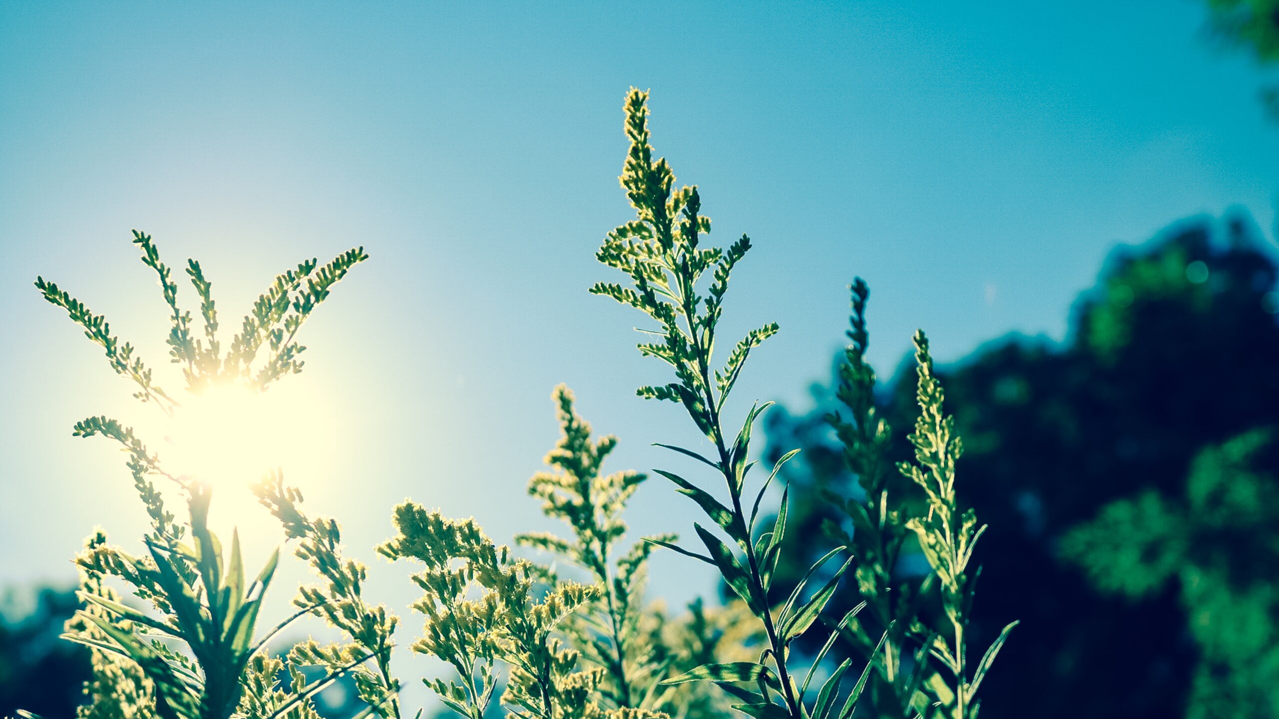 negative ions see the sunshine