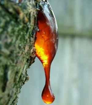myrrh Herbal medicine,natural remedies for menopause,acne solutions natural,Australia