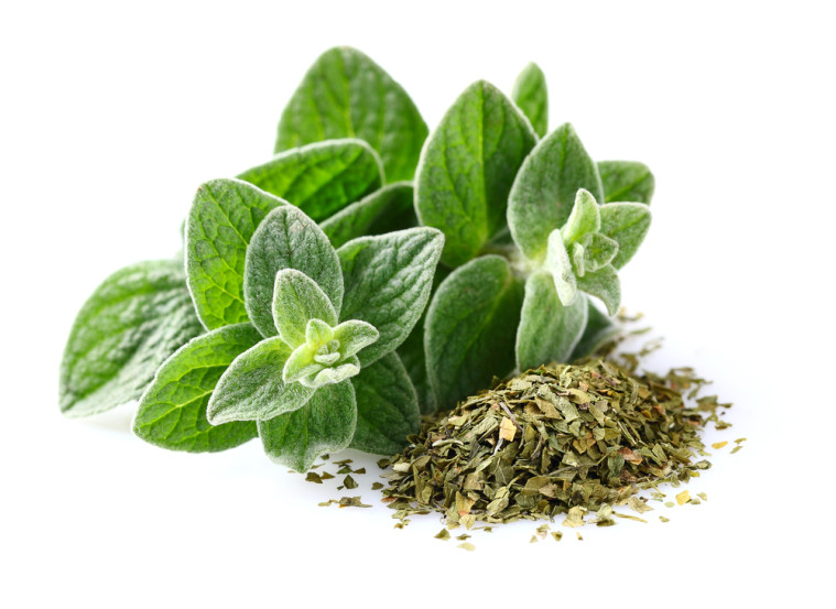 oregano Herbal medicine,natural remedies for menopause,acne solutions natural,Australia