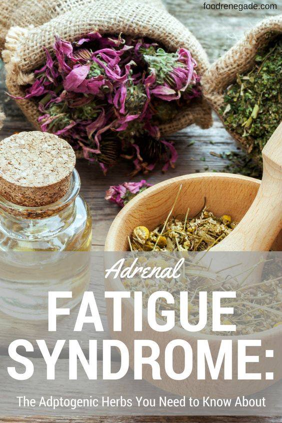 adptogenic herbs Herbal medicine,natural remedies for menopause,acne solutions natural,Australia