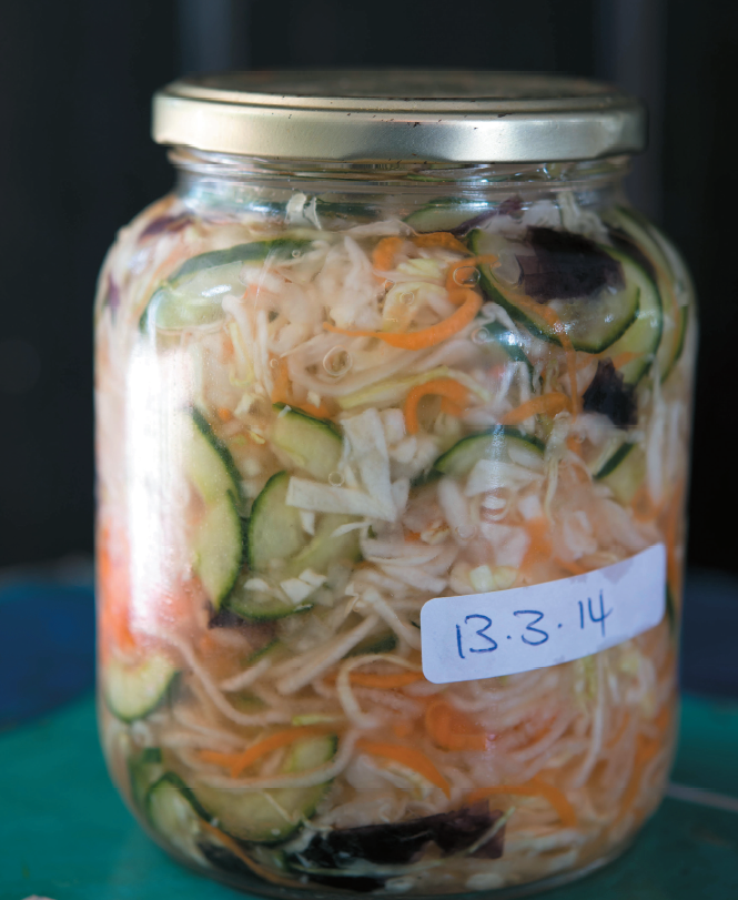 fermented veggies Herbal medicine,natural remedies for menopause,acne solutions natural,Australia