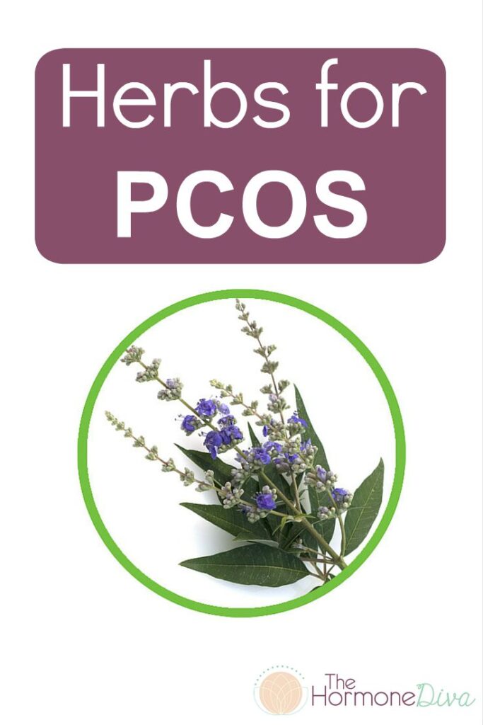 Janella's PCOS Week: INSULIN 11 Herbs