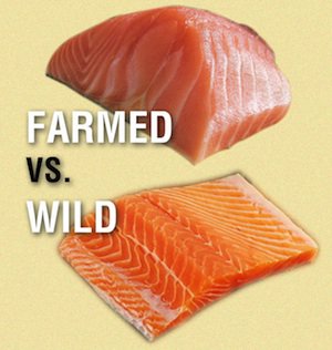 farmed salmon Herbal medicine,natural remedies for menopause,acne solutions natural,Australia