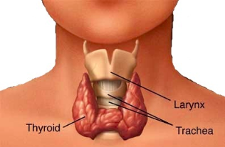 over active thyroid
