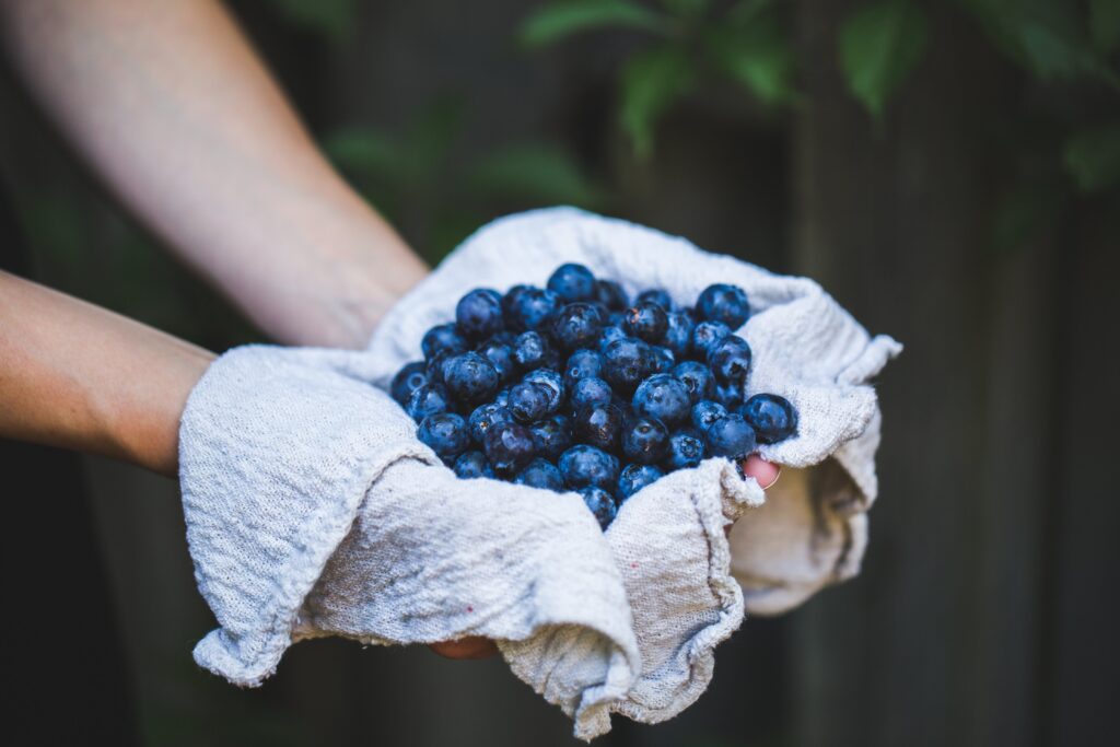 'Blueberry + Avocado Detox Smoothie'. 2 handful of blueberries