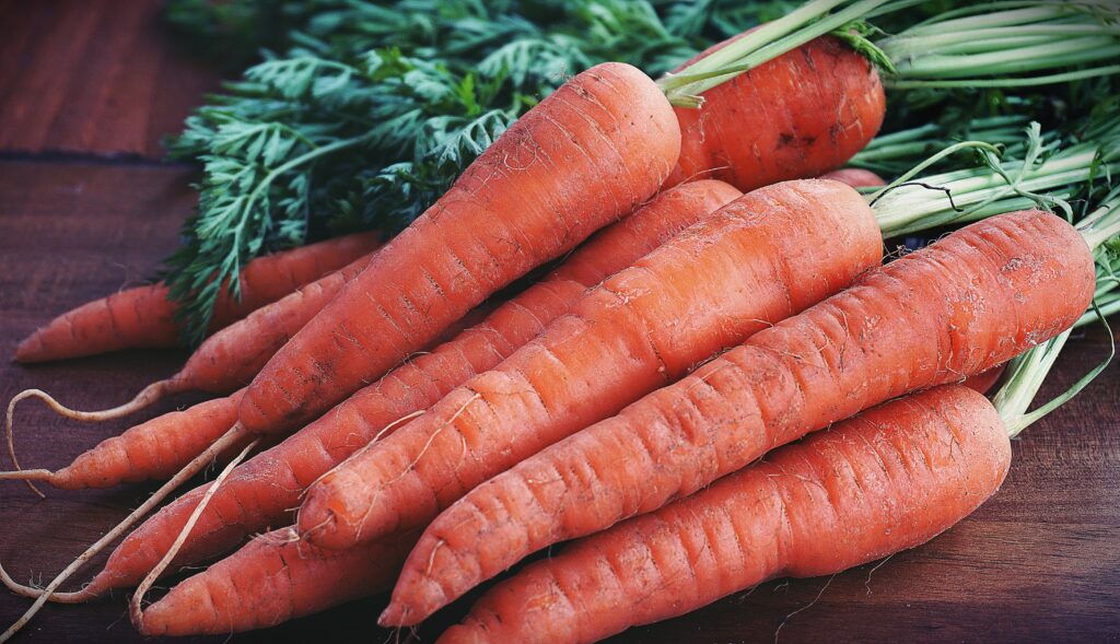 bunch of organic carrots