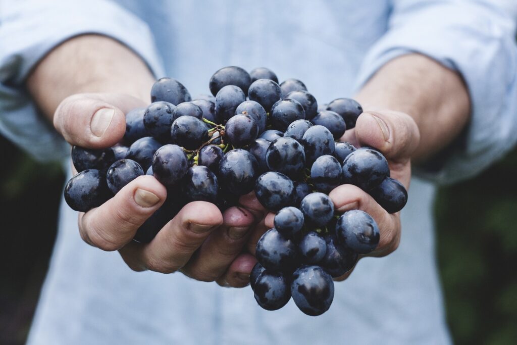 Organic Certifiers in AUS 6 handful of grapes