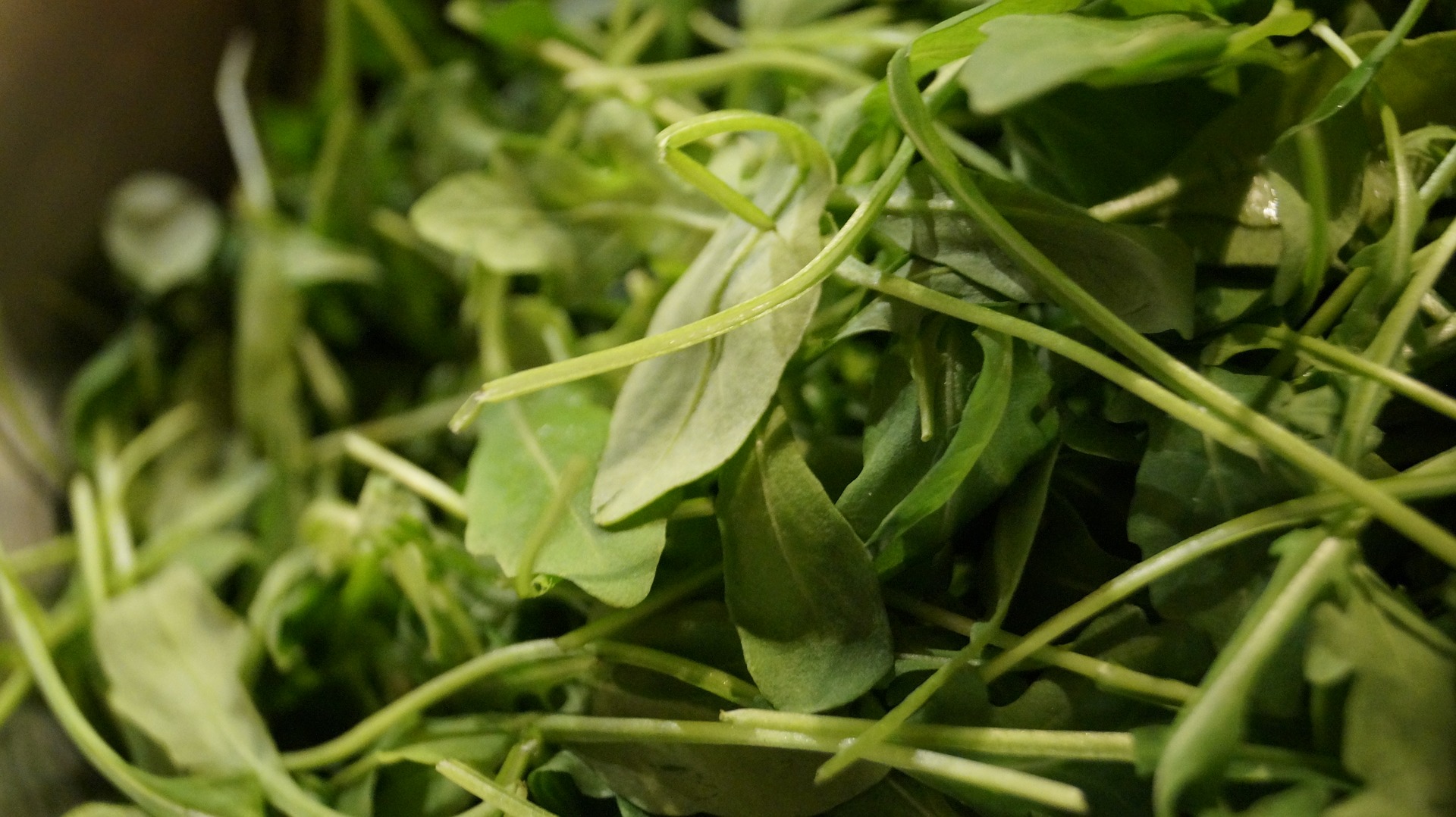 fresh rocket leaves