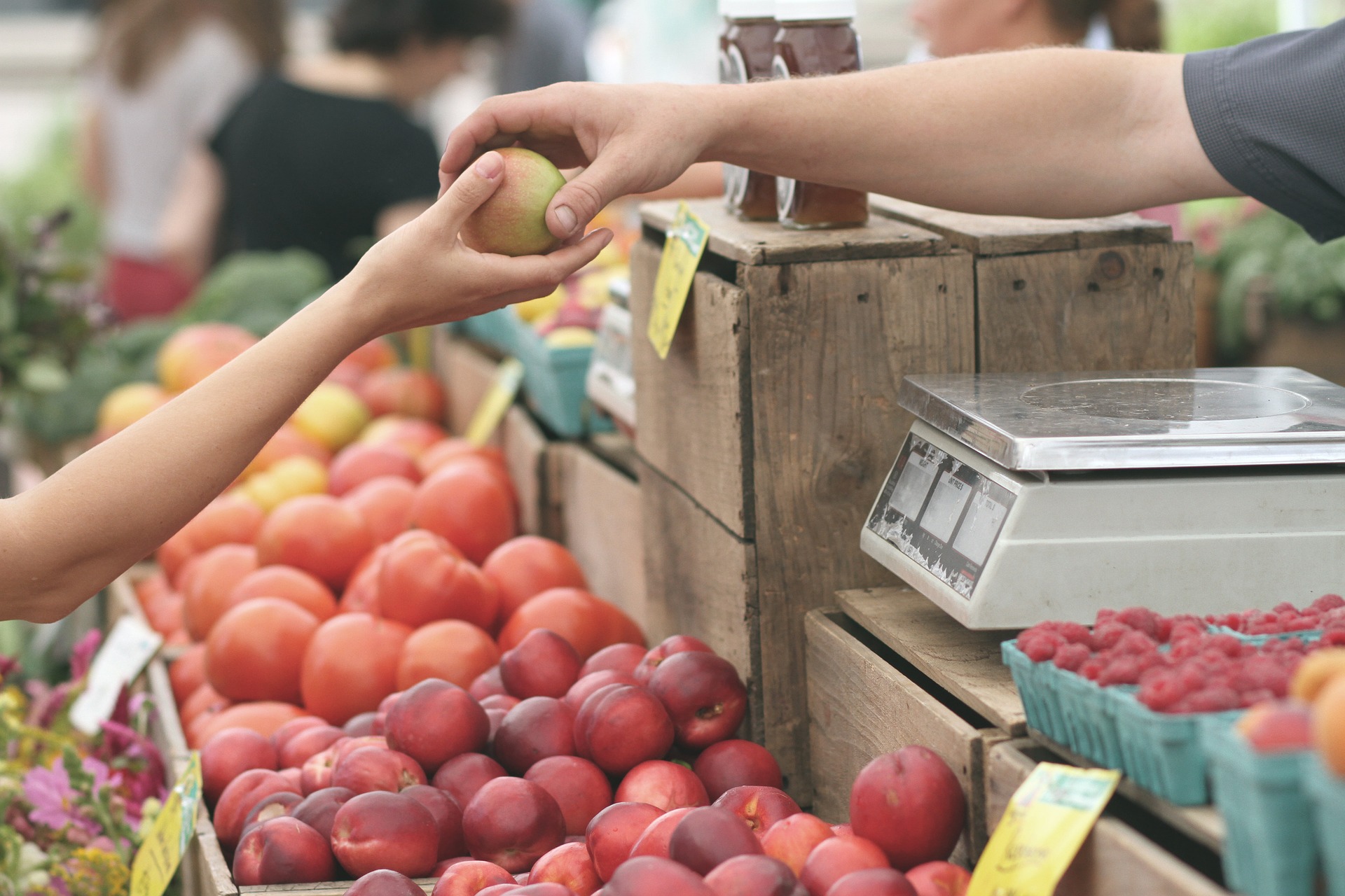 organic apples fruit and veg shop