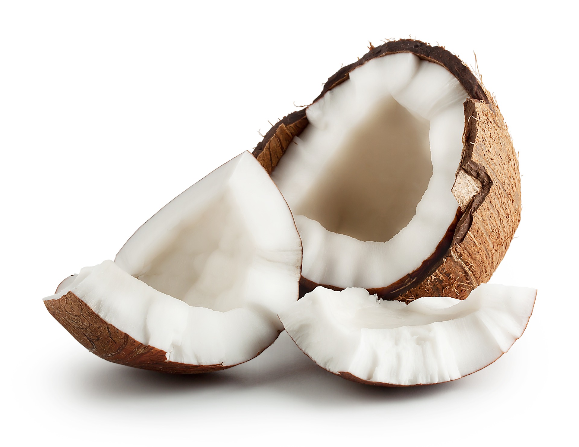 fresh coconut shells