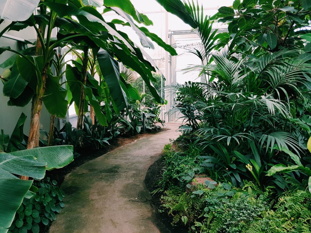 Making Your Internal Environment Healthier 4 greenery garden