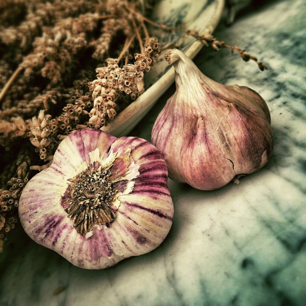 Boosting Immunity 5 garlic bulbs
