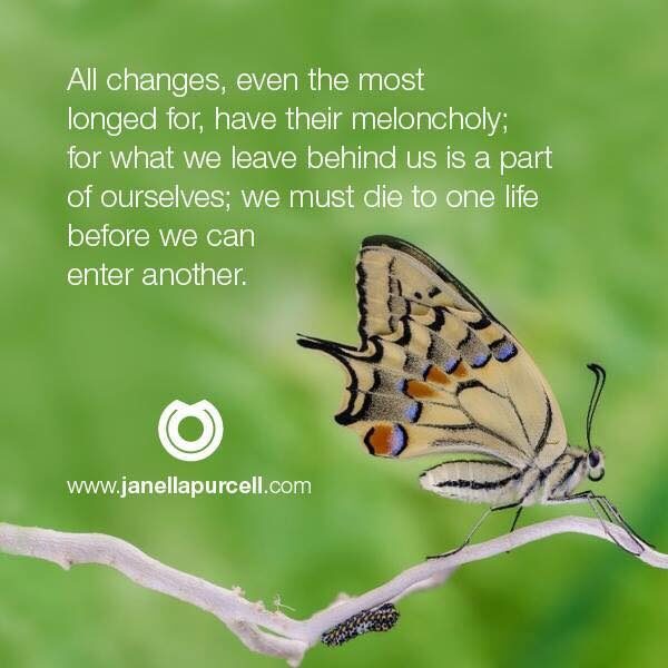 Instagram post from janellapurcell2. This post is in position 5.